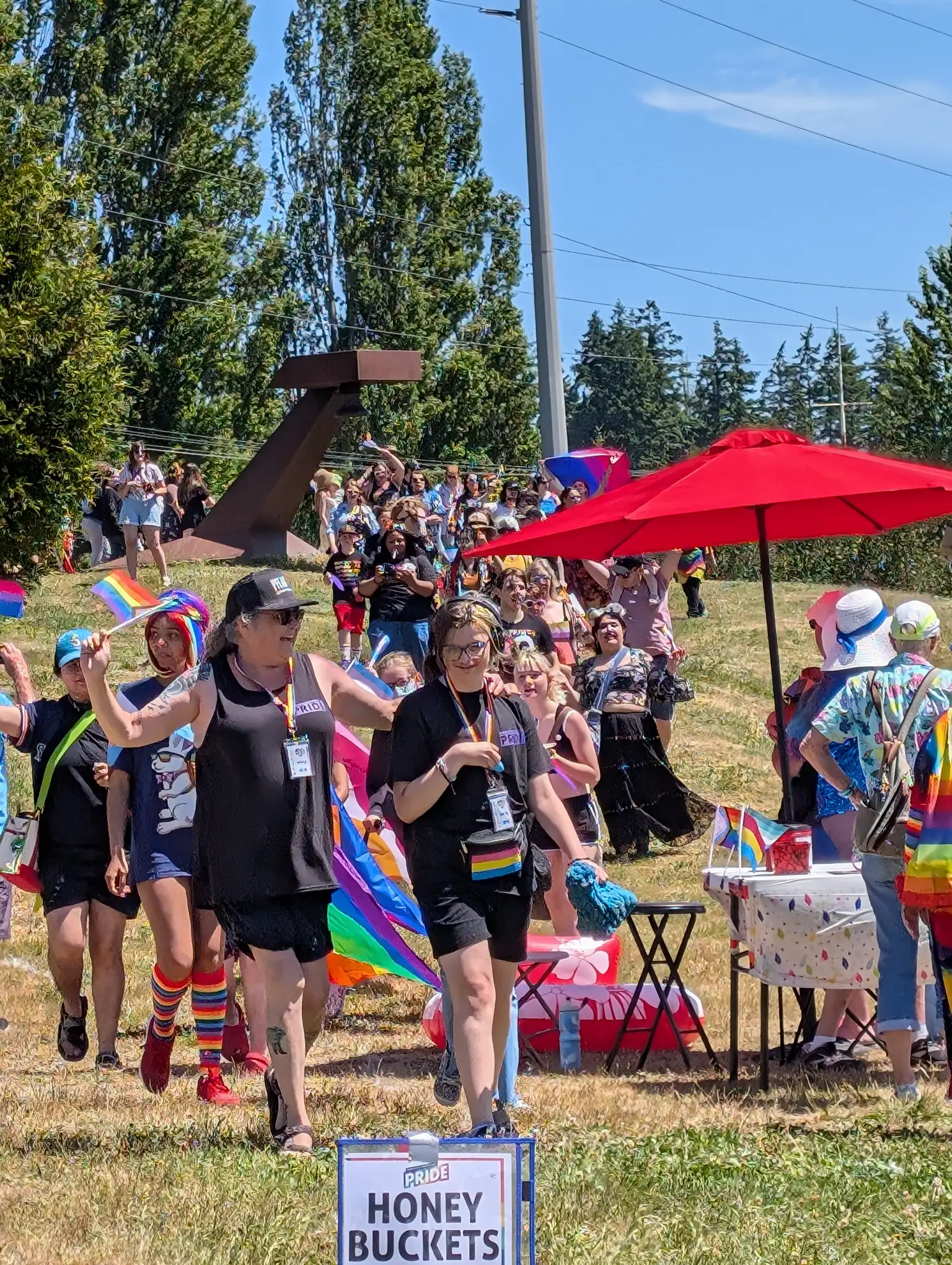 Stanwood-Camano Pride community gallery preview photo